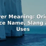 dover meaning