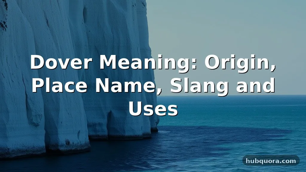 dover meaning