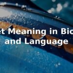 Finlet Meaning in Biology and Language