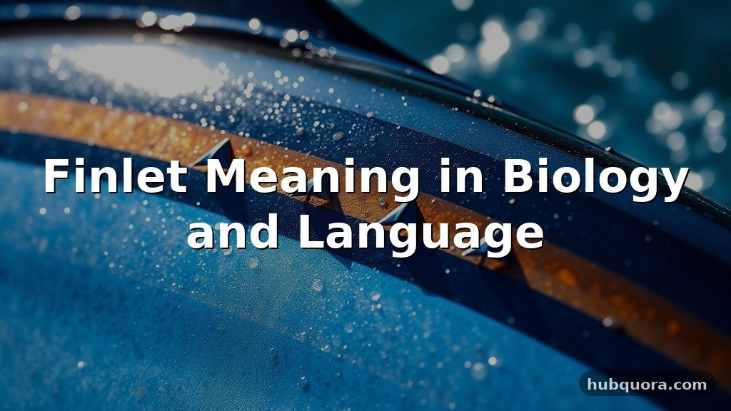 Finlet Meaning in Biology and Language