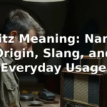 fritz meaning