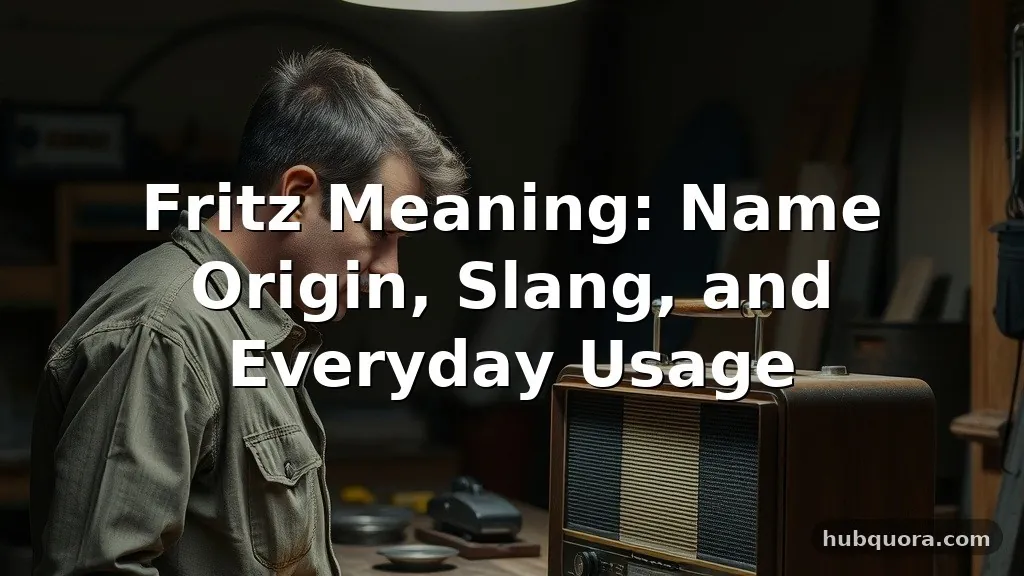 fritz meaning