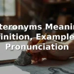 heteronyms meaning