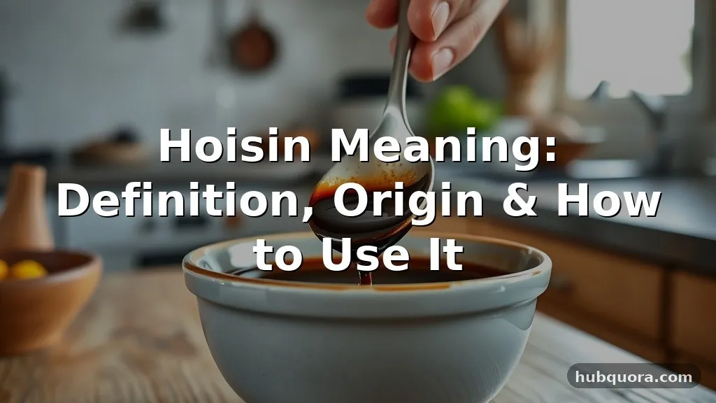 hoisin meaning