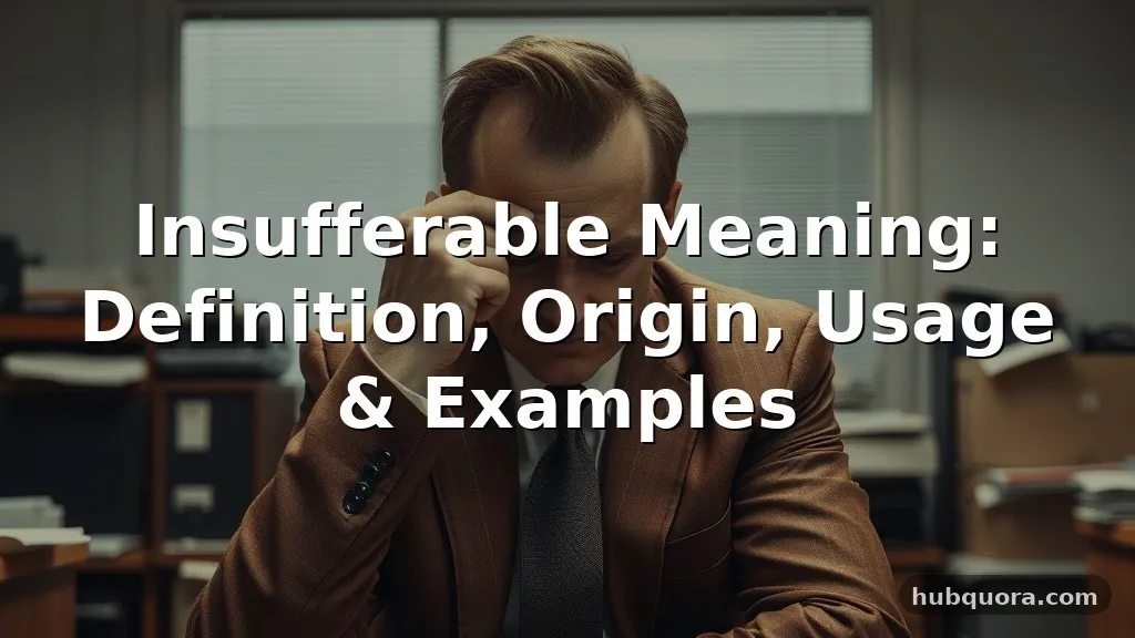 insufferable meaning