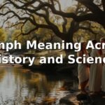 Nymph Meaning Across History and Science