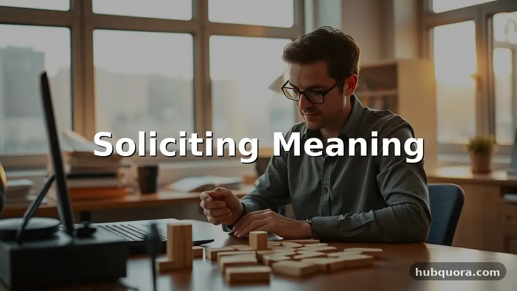 soliciting meaning