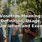 vosotros meaning