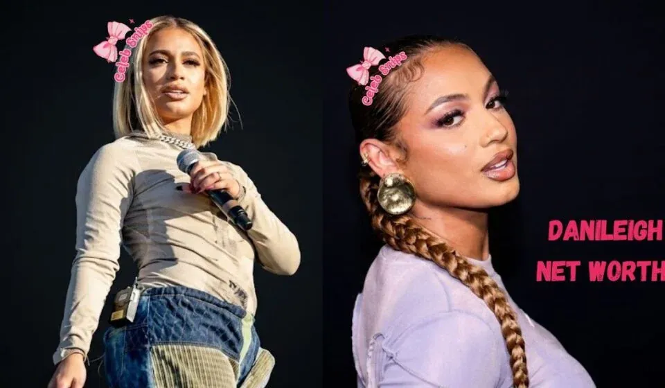 Streaming Revenue and Digital Distribution - danileigh net worth