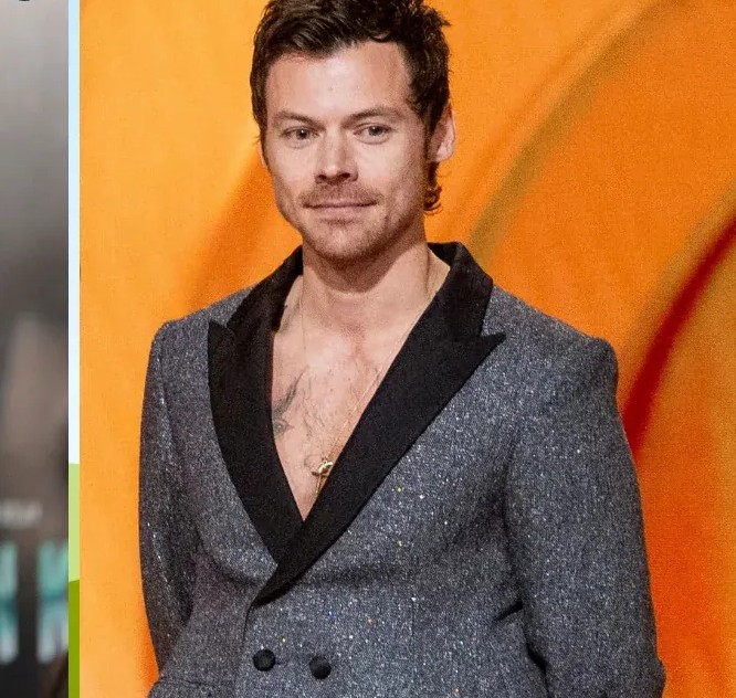 Why chart positions should be read with context - How Old Is Harry Styles in 2026? Age, Birthday and Life Story