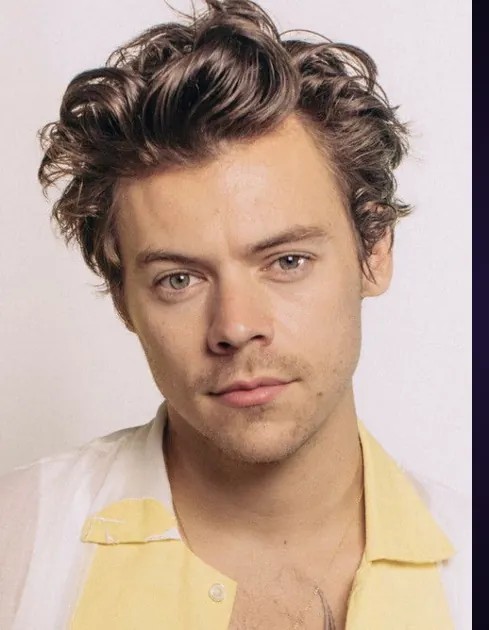 Creative identity beyond a single label - How Old Is Harry Styles in 2026? Age, Birthday and Life Story