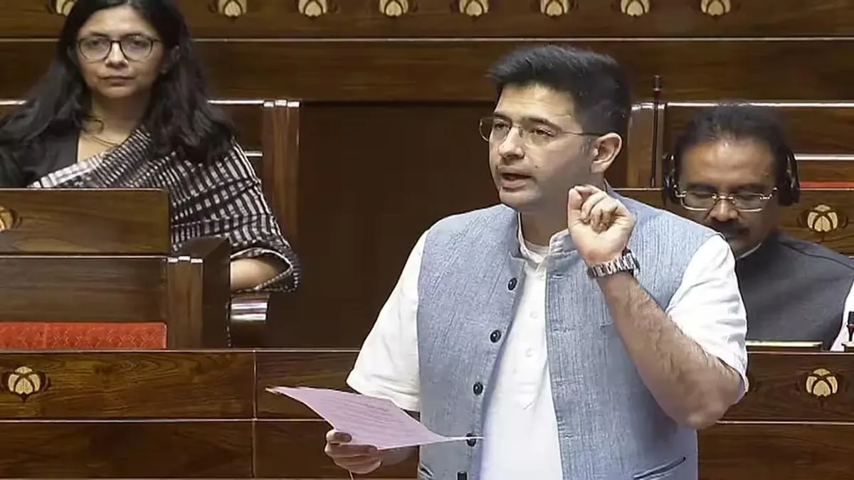 Raghav Chadha’s Education and Professional Background - raghav chadda age