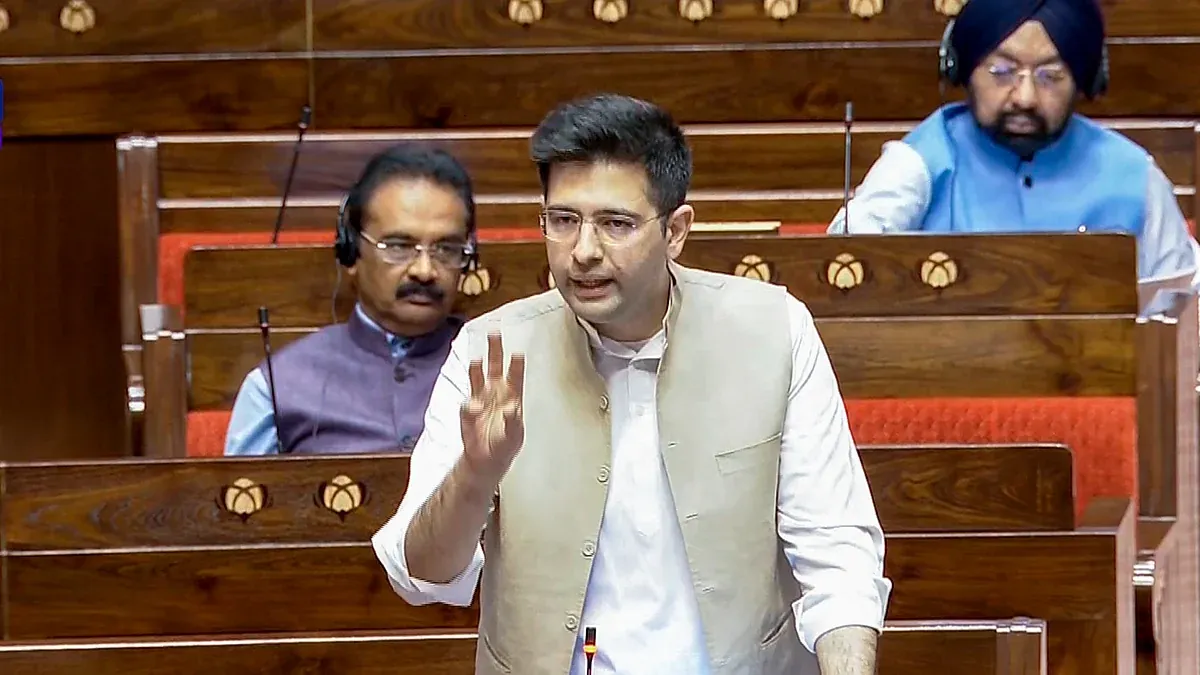 Election Record and Rajya Sabha Status - raghav chadda age